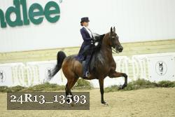 24R13_13593 proof