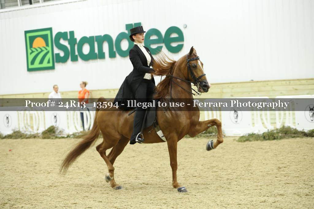 Proof 24R13_13594