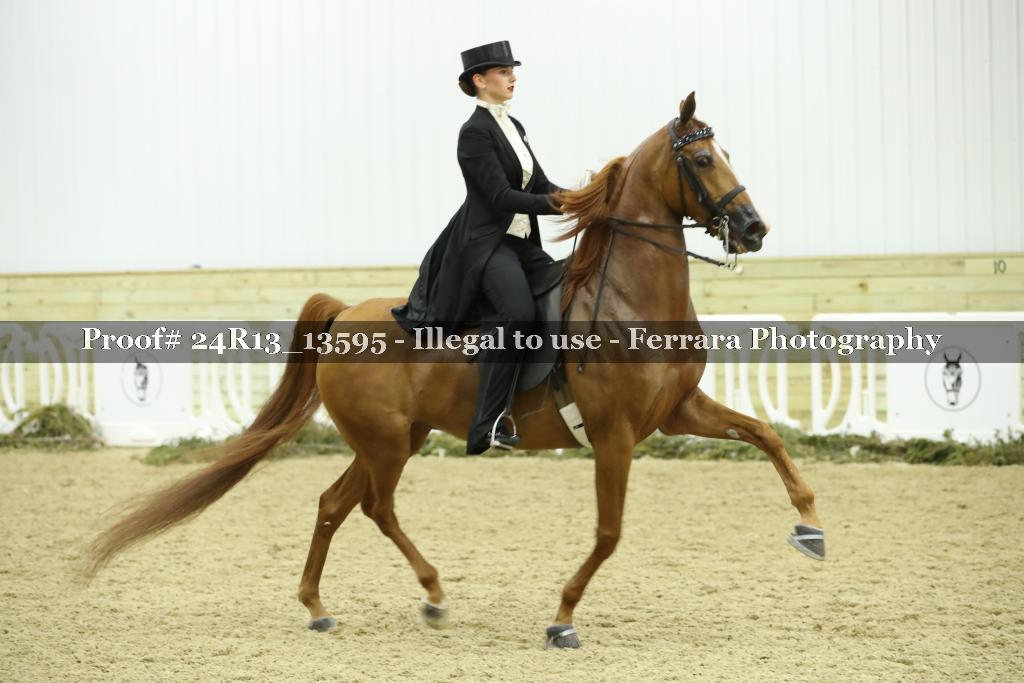 Proof 24R13_13595
