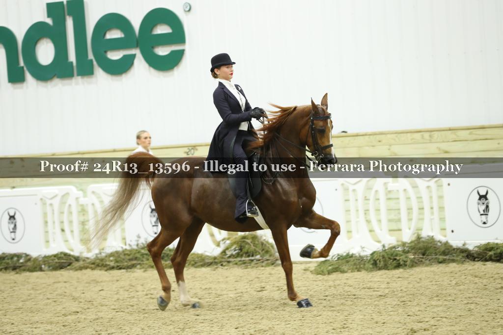 Proof 24R13_13596