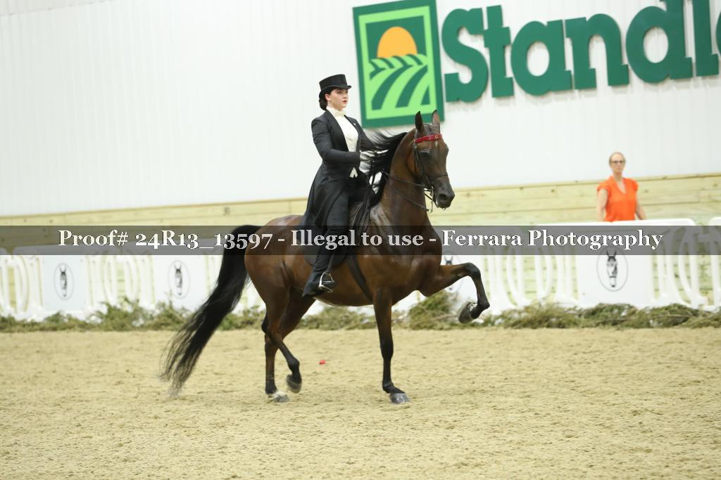 Proof 24R13_13597