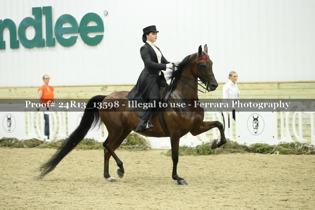Proof 24R13_13598