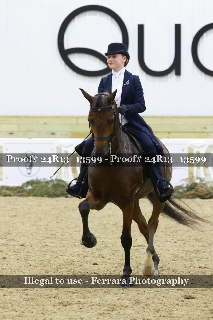 Proof 24R13_13599