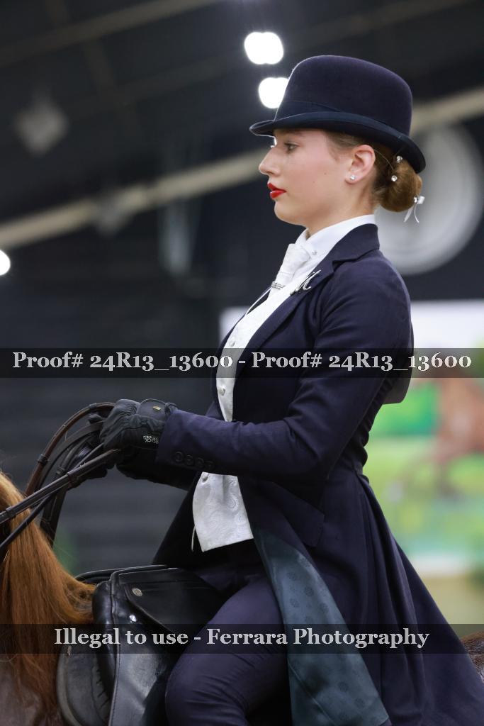Proof 24R13_13600
