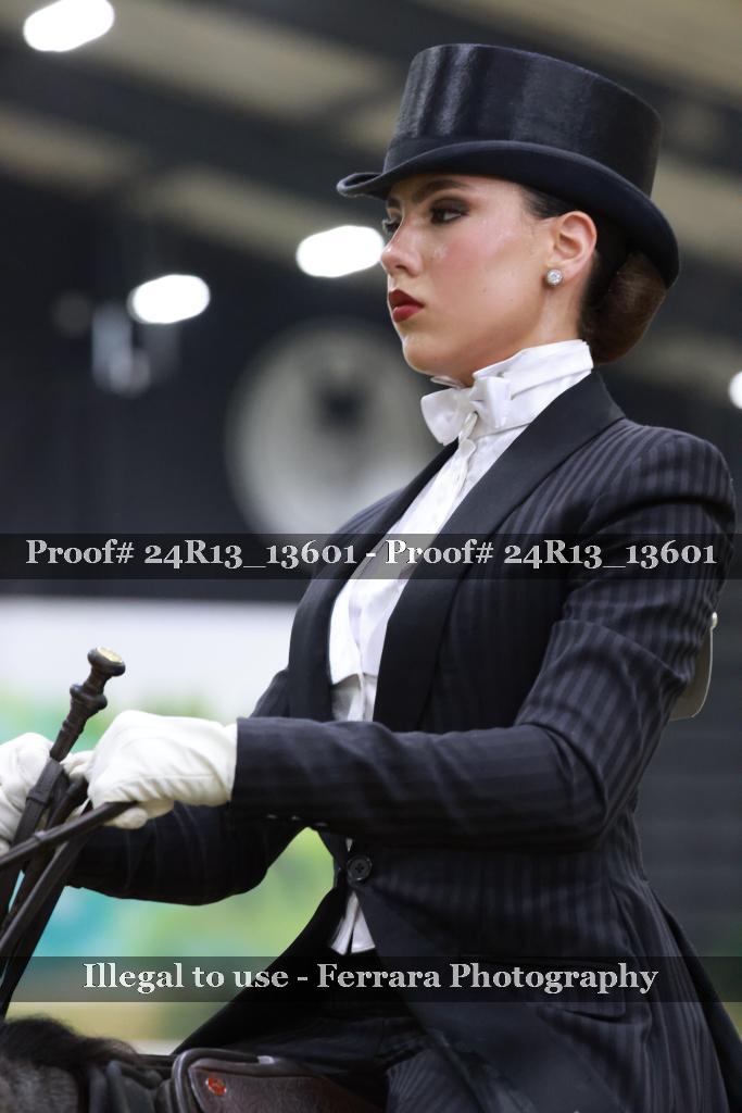 Proof 24R13_13601