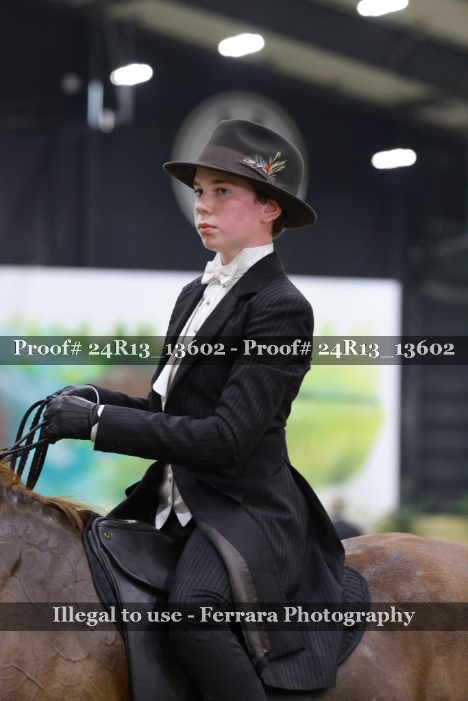 Proof 24R13_13602
