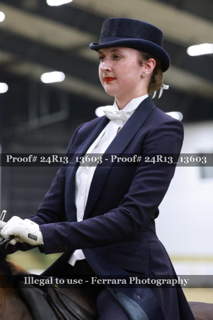 Proof 24R13_13603