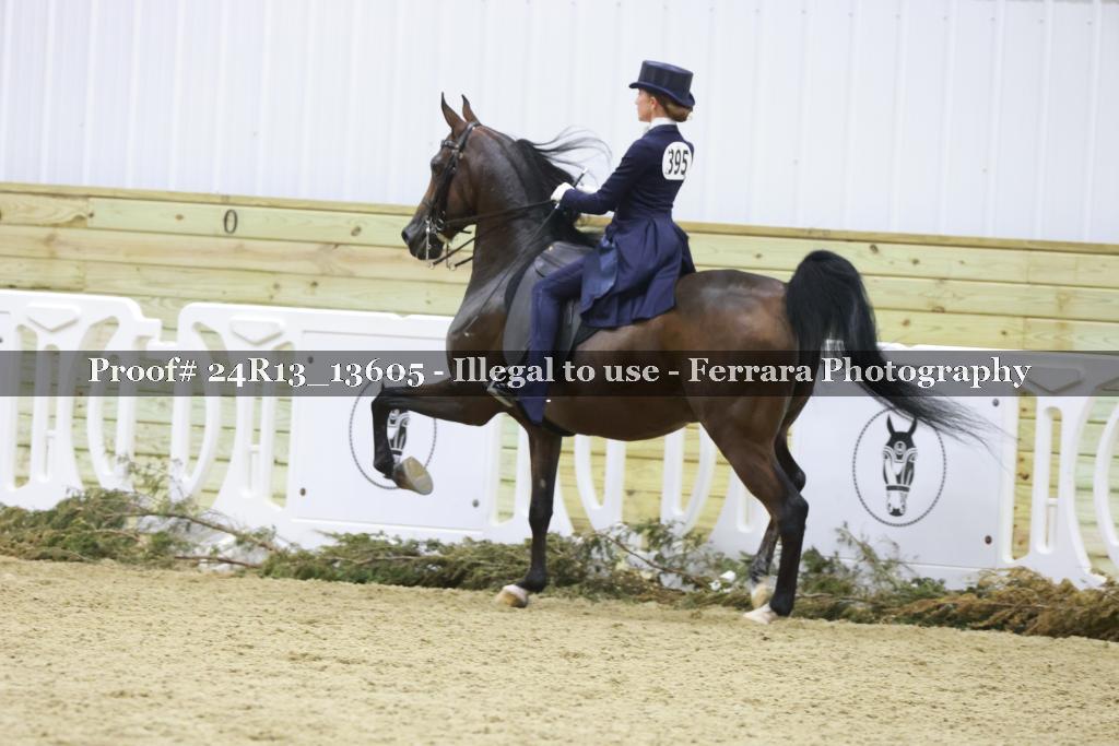 Proof 24R13_13605