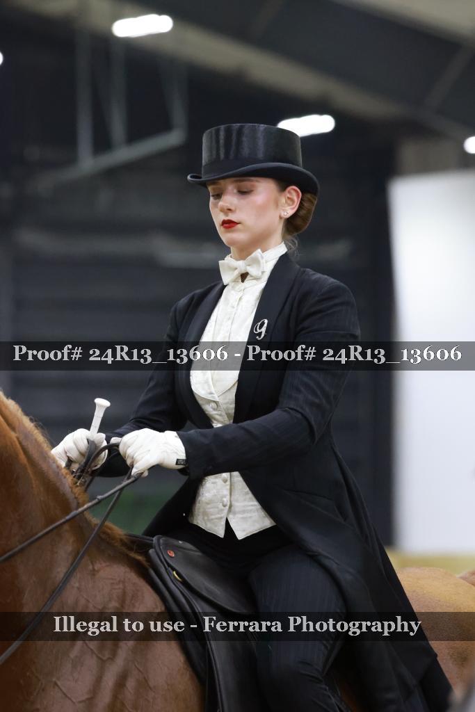 Proof 24R13_13606