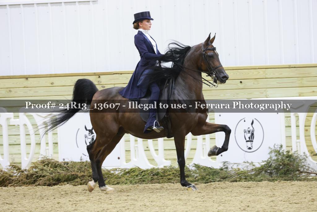 Proof 24R13_13607