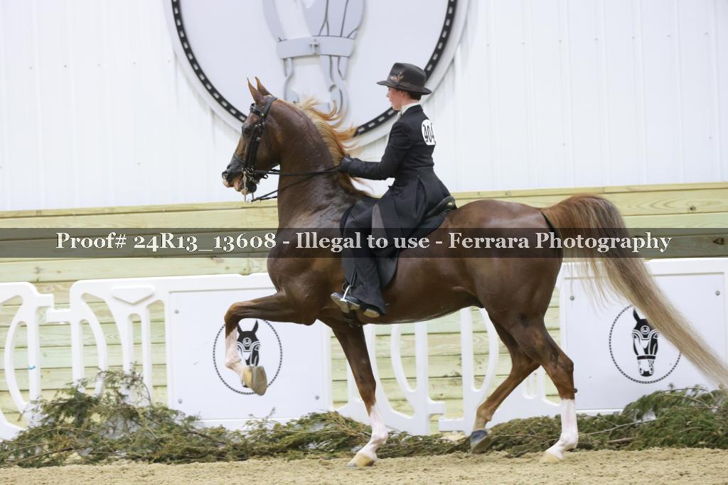 Proof 24R13_13608