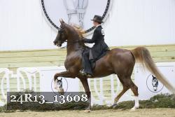 24R13_13608 proof
