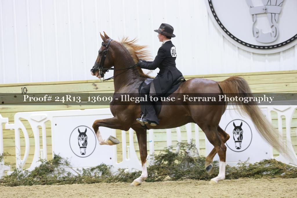 Proof 24R13_13609