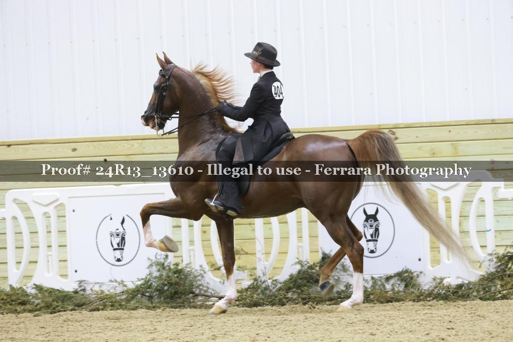 Proof 24R13_13610