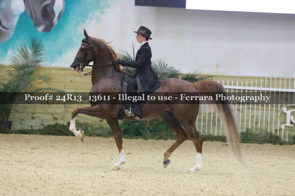 Proof 24R13_13611