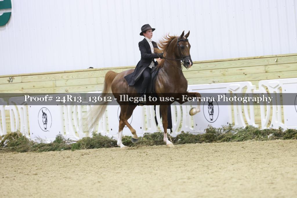 Proof 24R13_13612