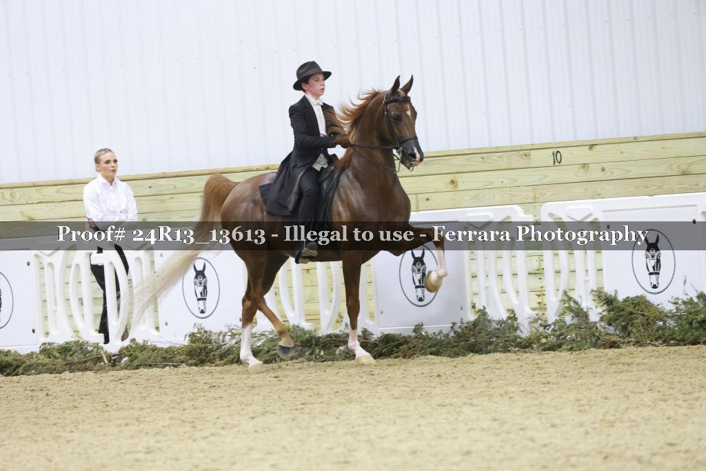Proof 24R13_13613