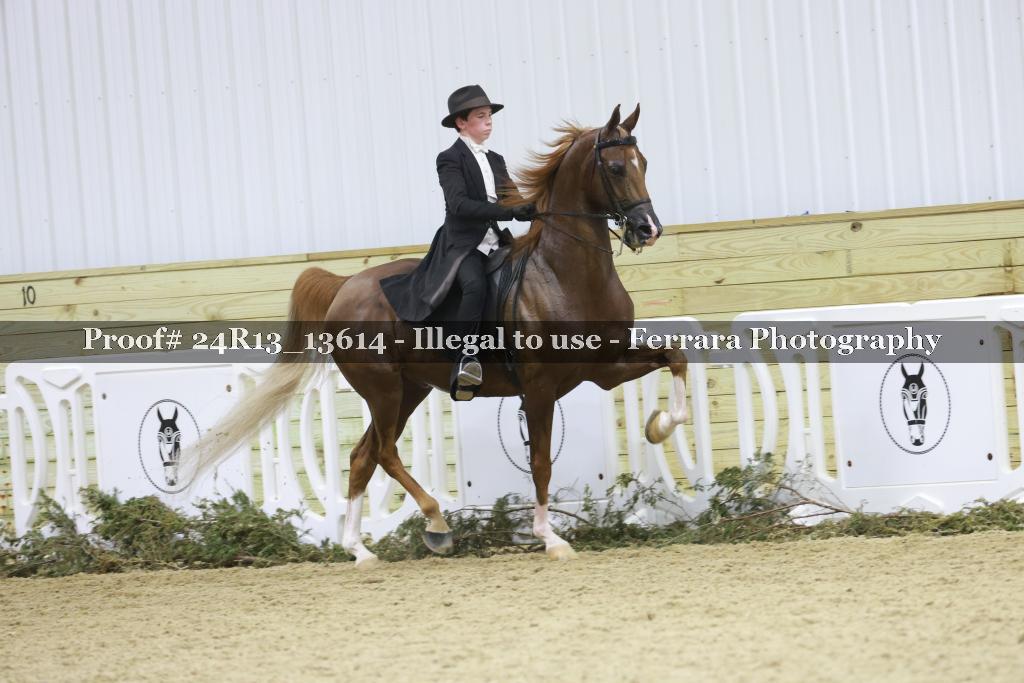 Proof 24R13_13614