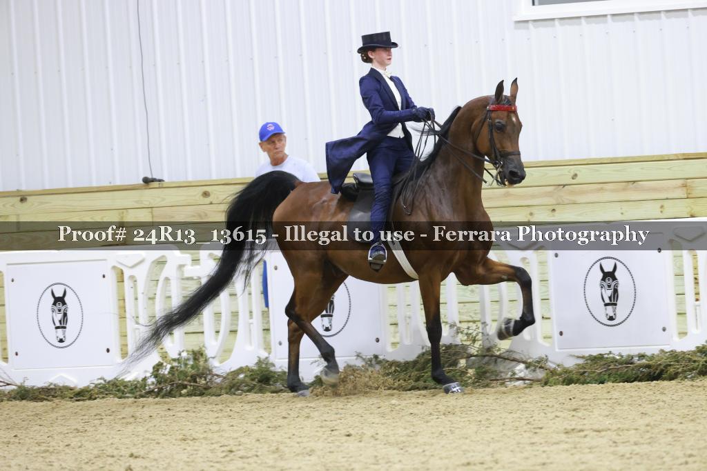 Proof 24R13_13615