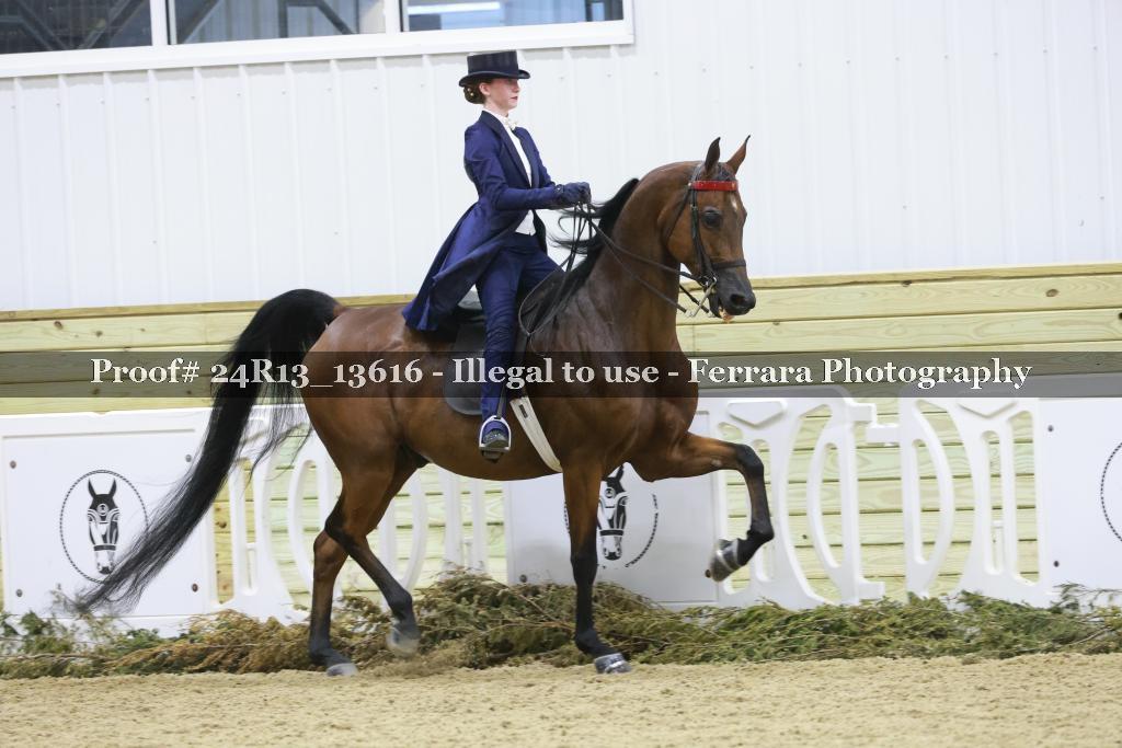 Proof 24R13_13616