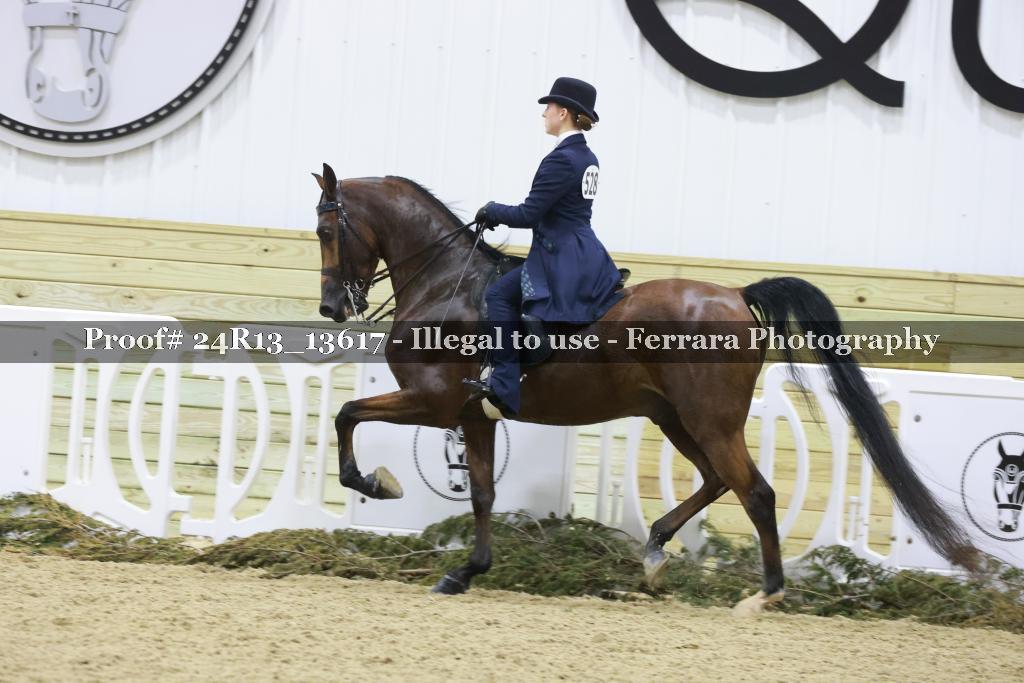 Proof 24R13_13617