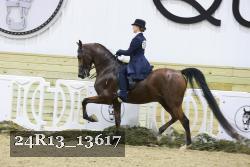 24R13_13617 proof