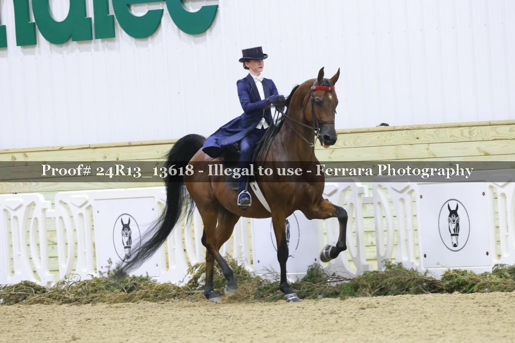 Proof 24R13_13618