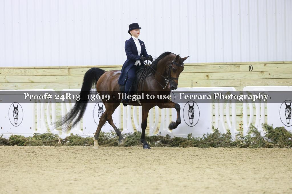 Proof 24R13_13619