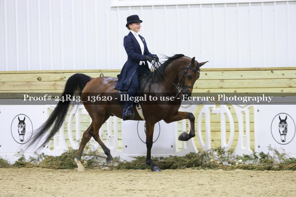 Proof 24R13_13620
