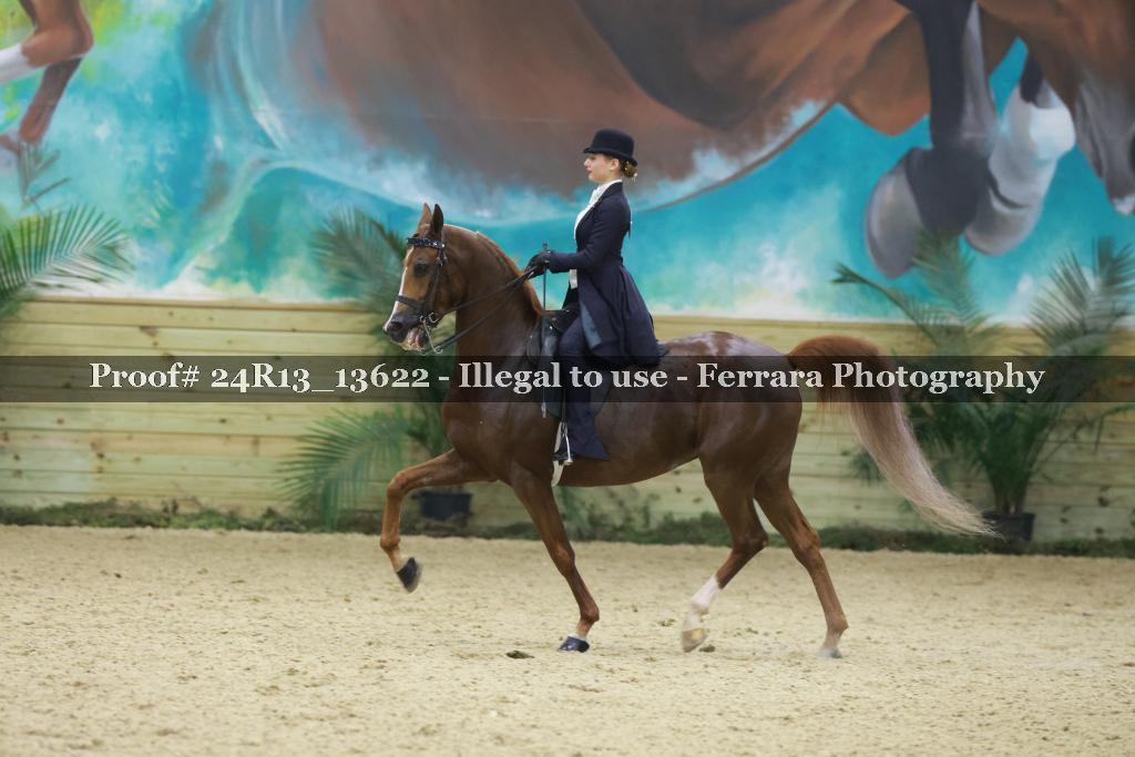 Proof 24R13_13622