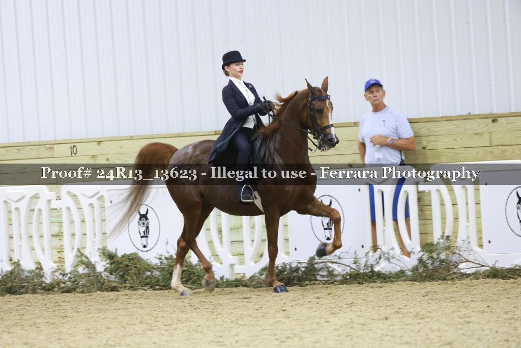 Proof 24R13_13623