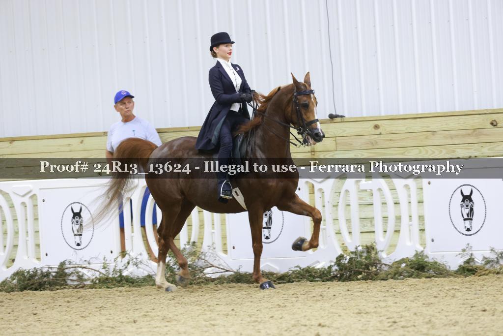 Proof 24R13_13624