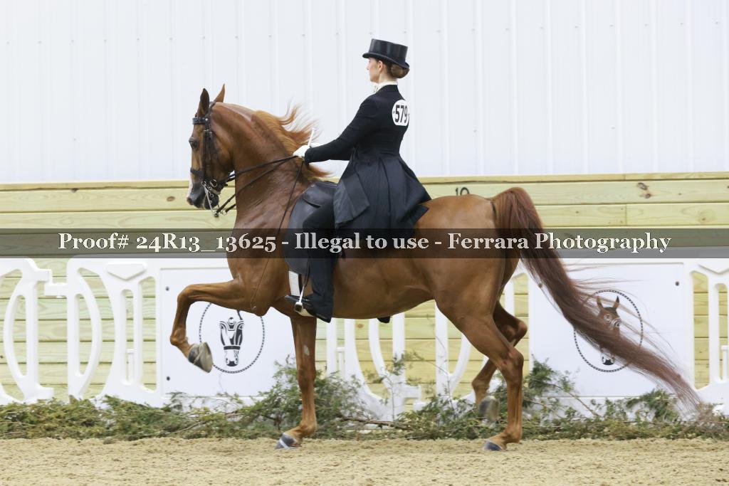 Proof 24R13_13625