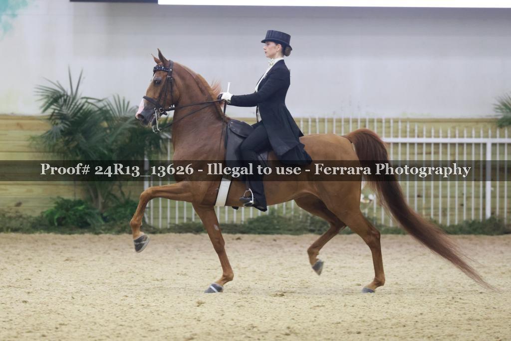 Proof 24R13_13626