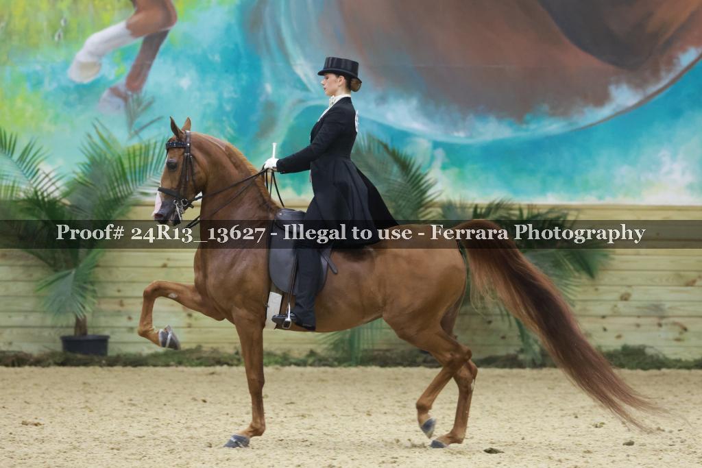 Proof 24R13_13627