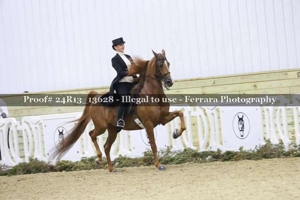 Proof 24R13_13628