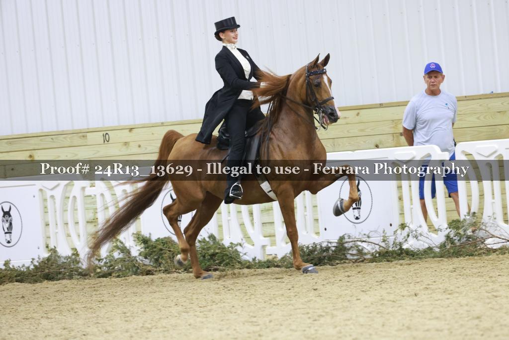 Proof 24R13_13629