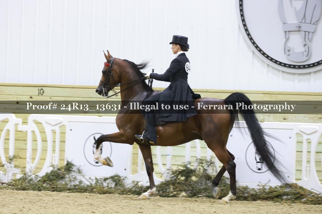 Proof 24R13_13631