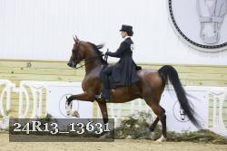 24R13_13631 proof