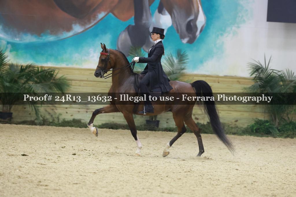Proof 24R13_13632