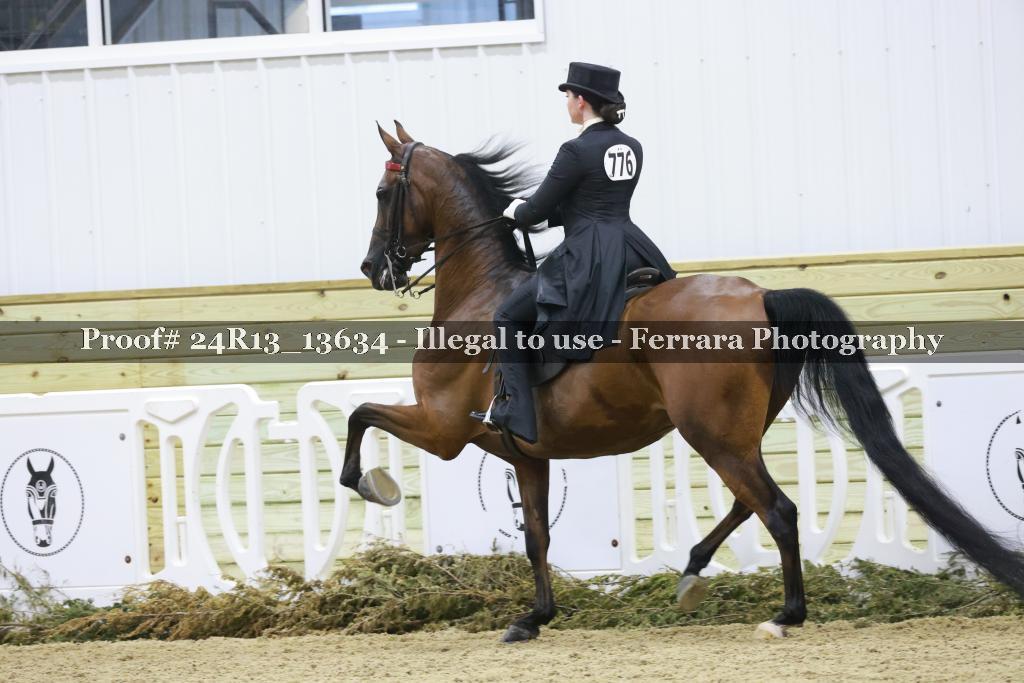 Proof 24R13_13634