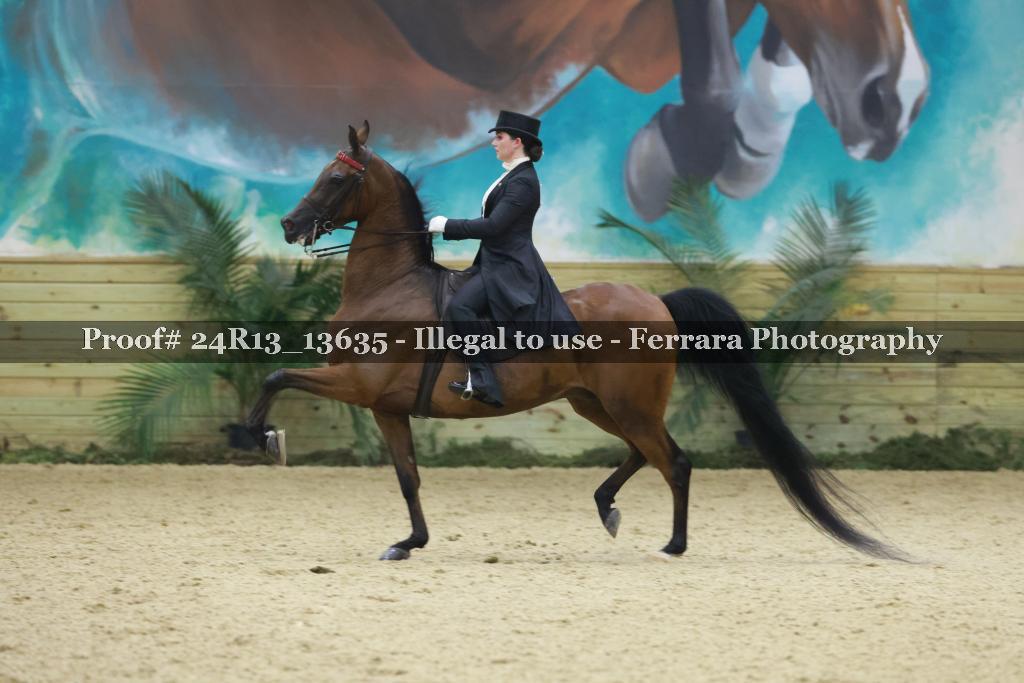 Proof 24R13_13635