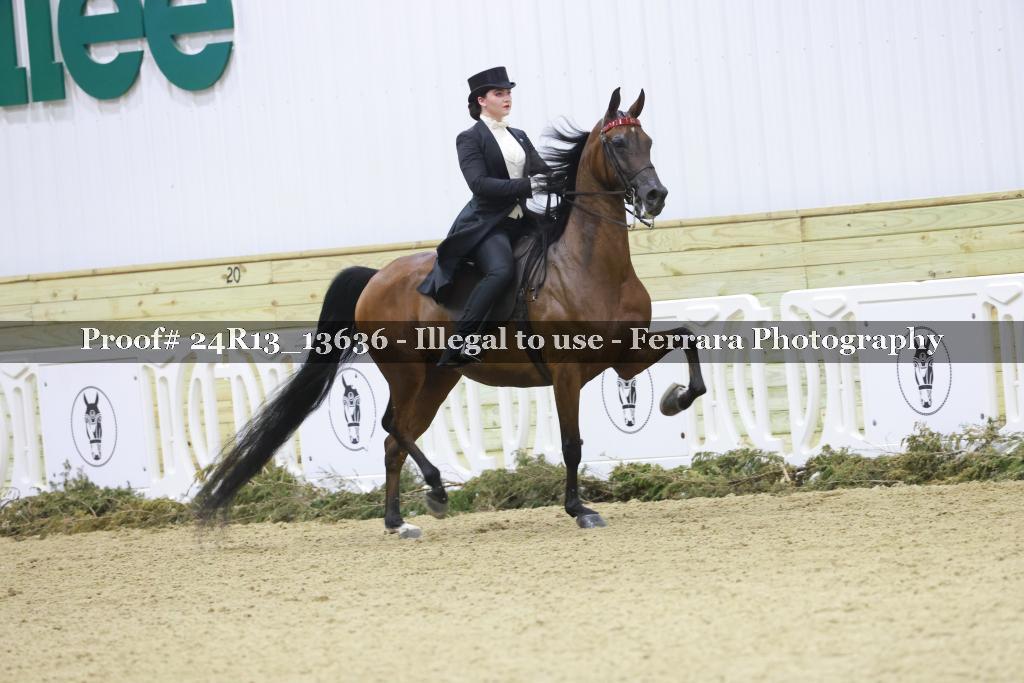 Proof 24R13_13636