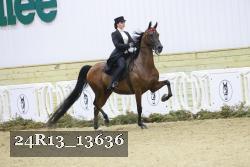 24R13_13636 proof
