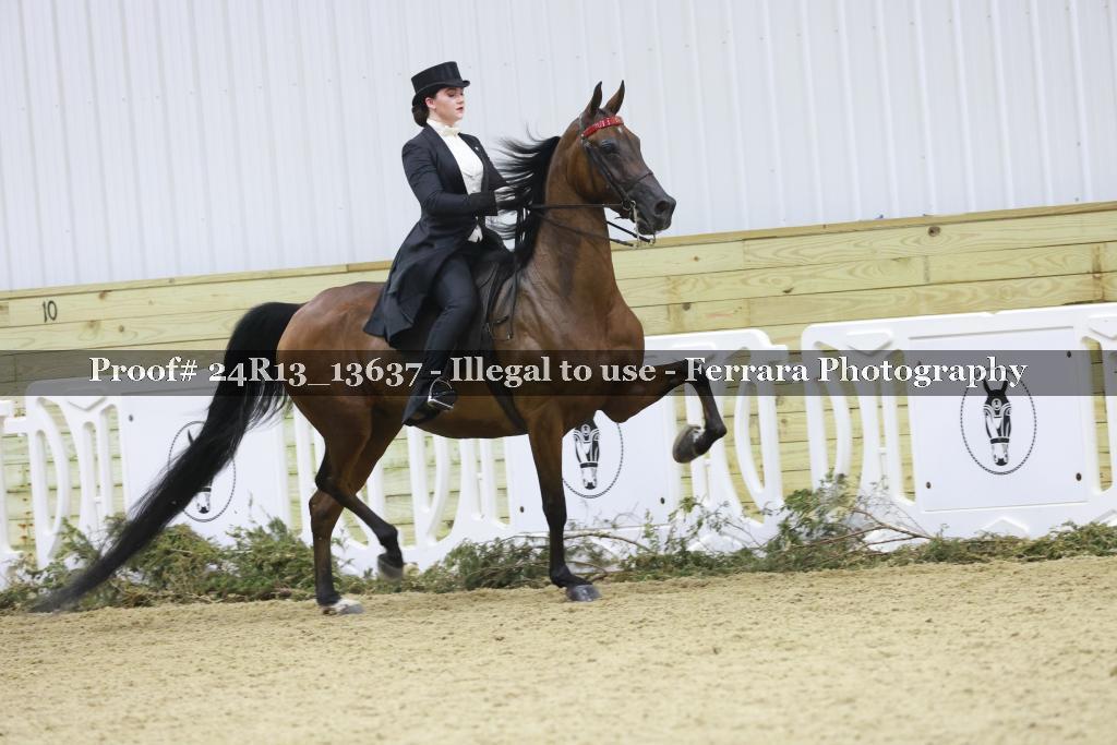 Proof 24R13_13637