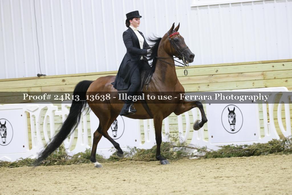Proof 24R13_13638