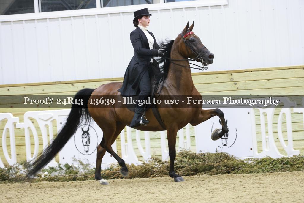 Proof 24R13_13639