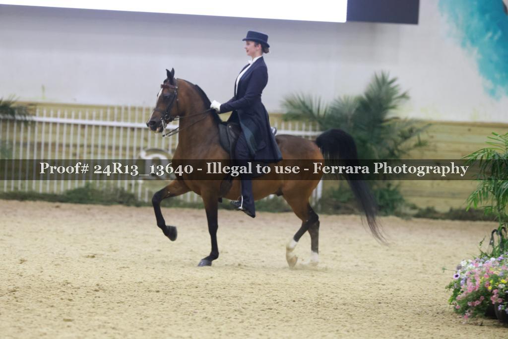 Proof 24R13_13640
