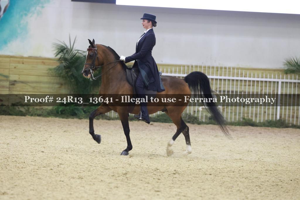 Proof 24R13_13641