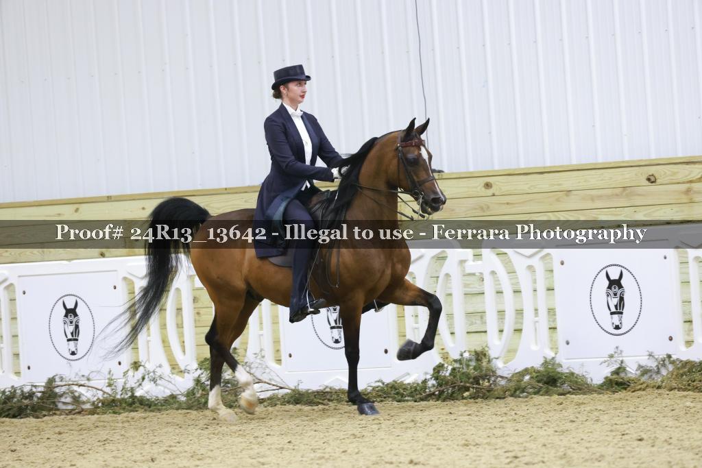 Proof 24R13_13642